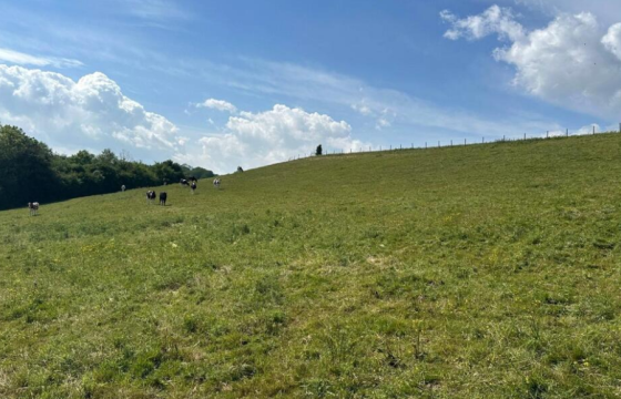 Land for sale in Wincanton photo